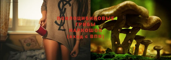 Альфа ПВП Краснослободск
