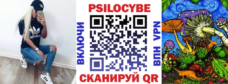 Купить  Сковородино  Галлюциногенные грибы Cubensis 